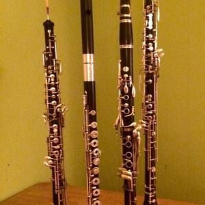 Meet your Posher, Mary AllyeB